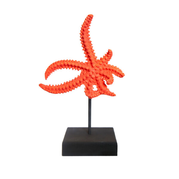ستاره دریایی مجسمه دکوری نارنجی دکوراتیو